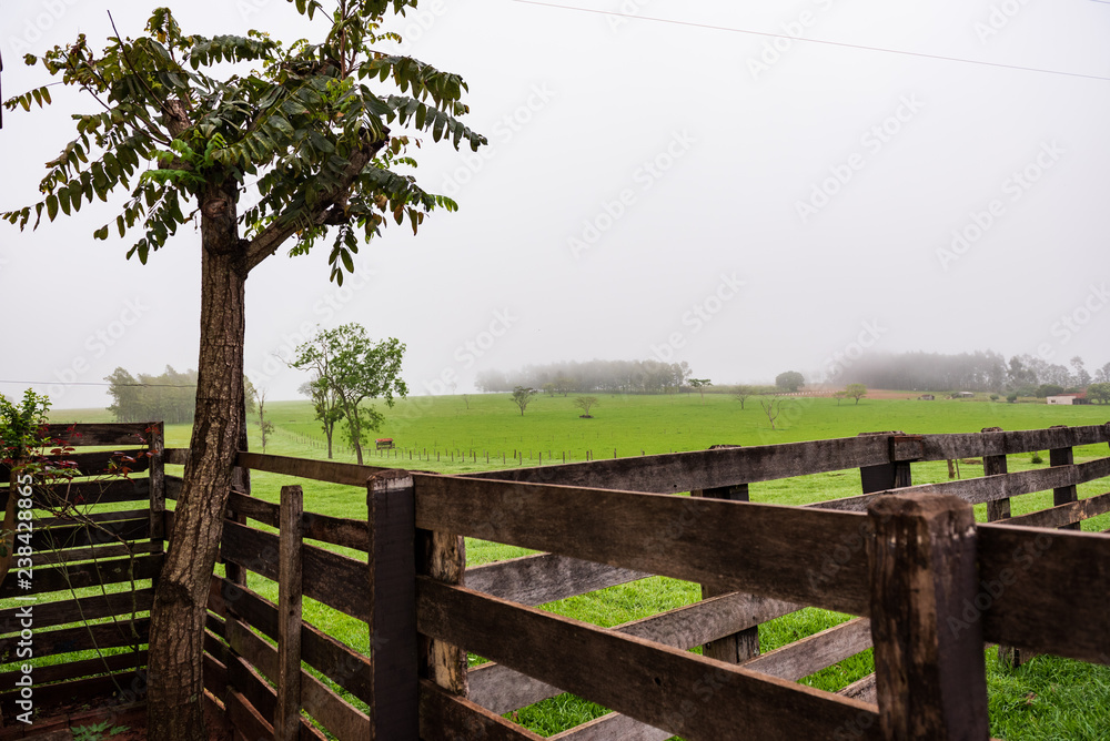 Detail of a farm in the morning with fog on the background