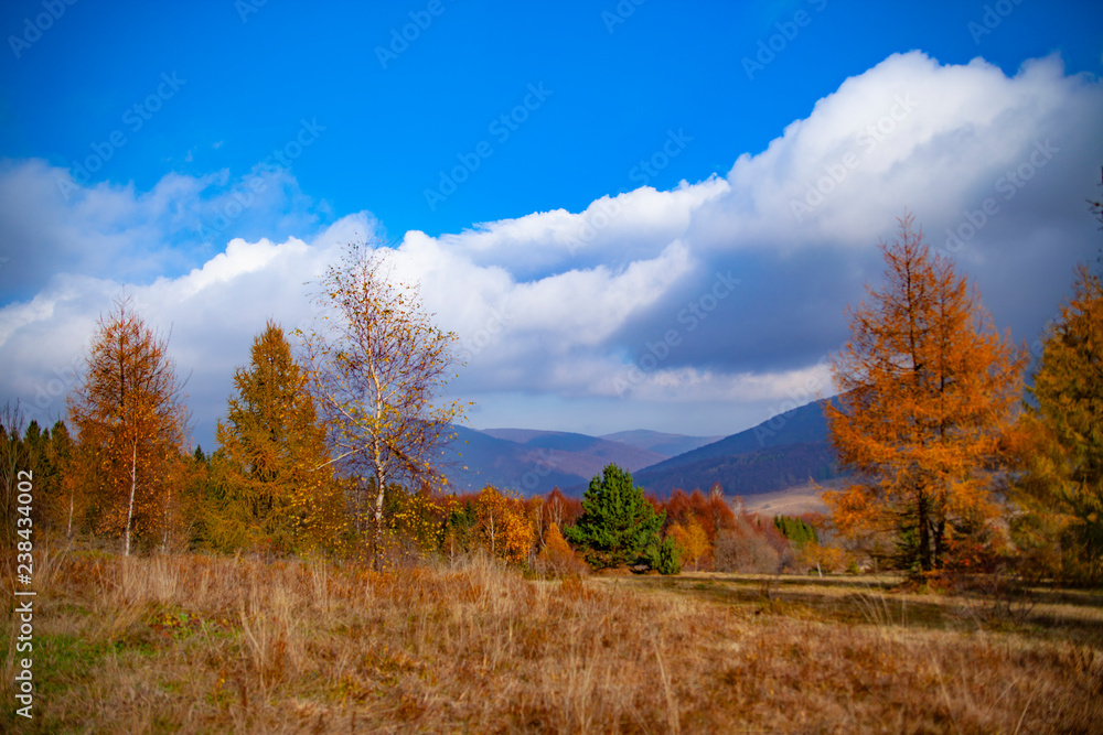 Obraz premium Landscape of autumnal peaks of the Carpathians.