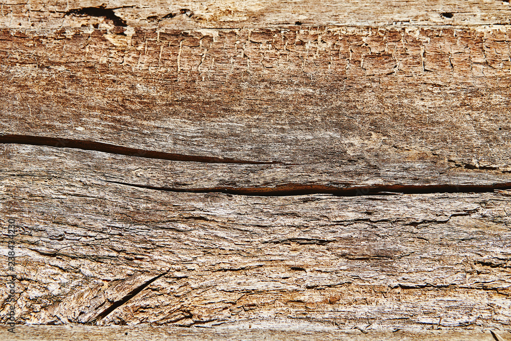 Natural wood texture closeup. Wooden background closeup Natural wood texture closeup. Wooden background closeup