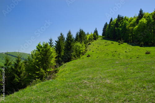 Green hill landscape © savcoco