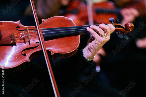group of violinists playing at orchestra concert