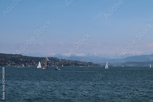 windsurfers over lake with alps mountains view