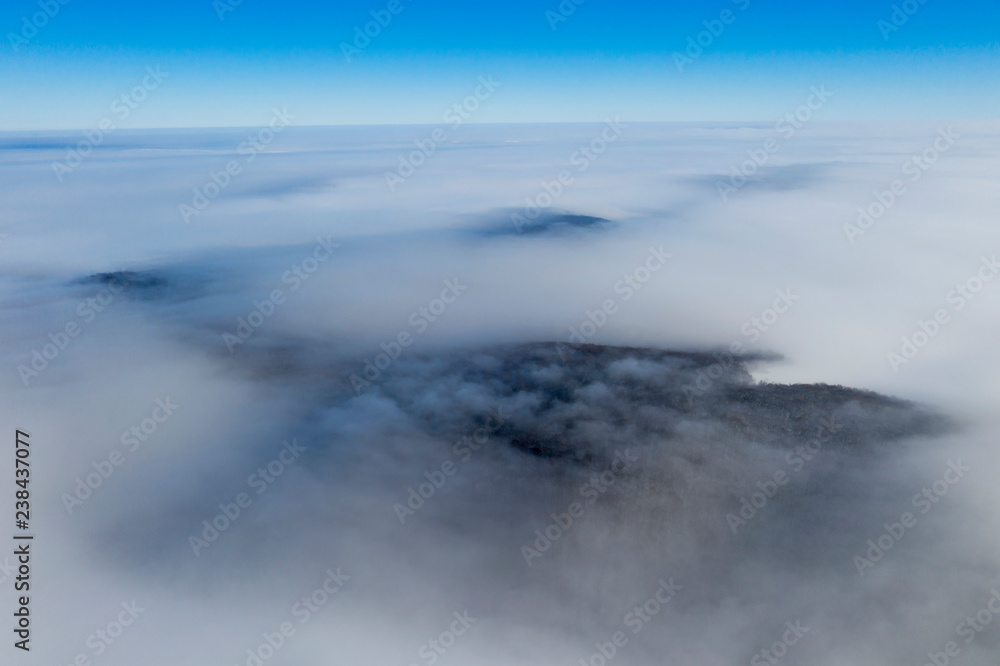Foggy forest and sea of clouds