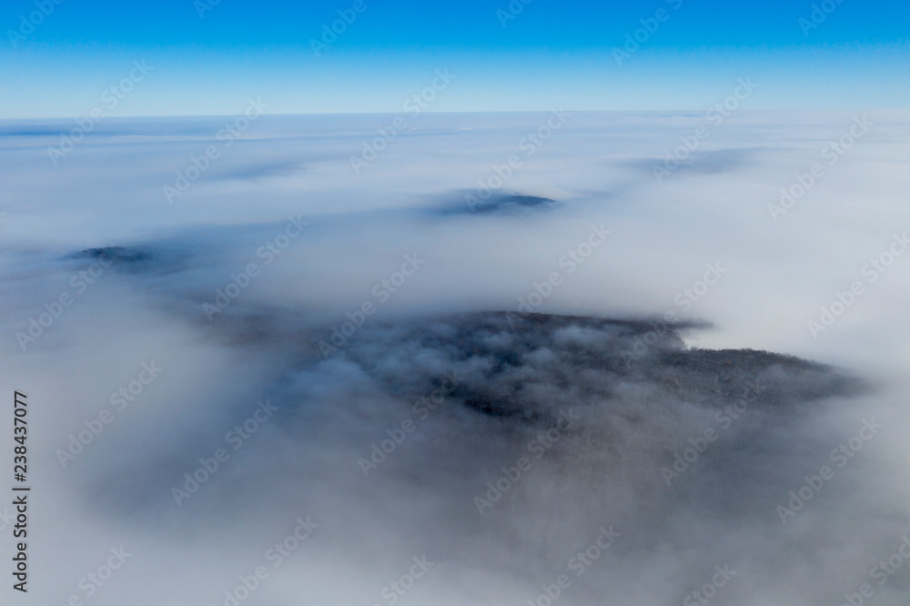Obraz premium Foggy forest and sea of clouds
