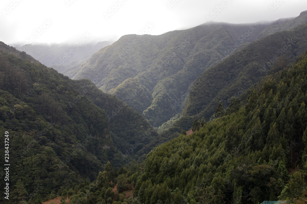 Fototapeta premium view of mountains
