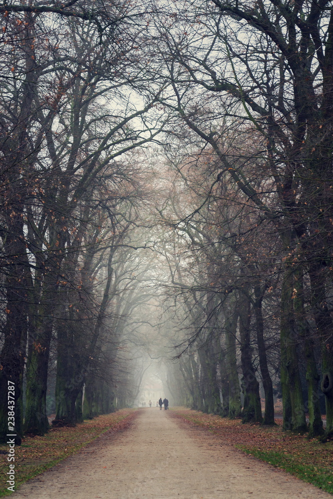 Couple holding hands walking in beautiful romantic autumn alley, cloudy foggy day, partner issues psychology relationship concept, Prague game reserve Hvezda, Czech Republic Couple holding hands walking in beautiful romantic autumn alley, cloudy foggy day, partner issues psychology relationship concept, Prague game reserve Hvezda, Czech Republic