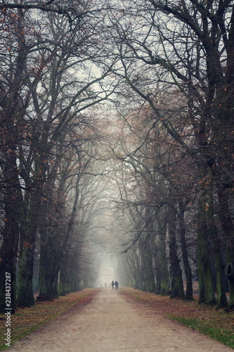 Couple holding hands walking in beautiful romantic autumn alley, cloudy foggy day, partner issues psychology relationship concept, Prague game reserve Hvezda, Czech Republic