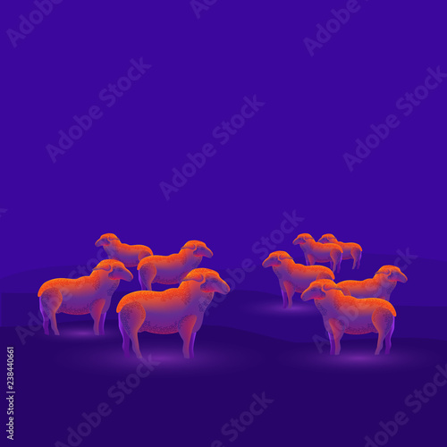 A flock of sheep isolated on a dark blue background.