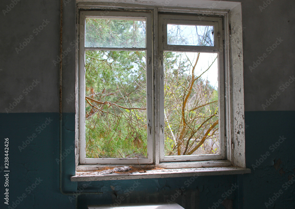 Fototapeta premium window