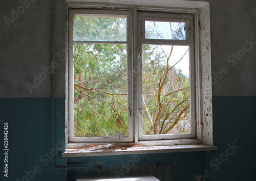 window