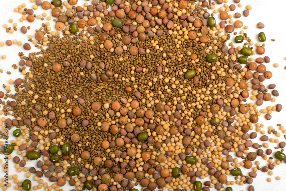 Edible seed mix with dry radish, mustard, lentils, alfalfa seeds Edible seed mix with dry radish, mustard, lentils, alfalfa seeds