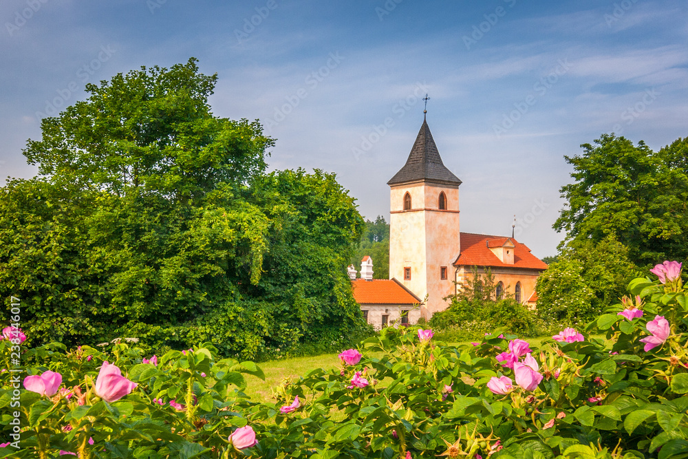Countryside with chateau Kratochvile, Czech Republic, Europe.