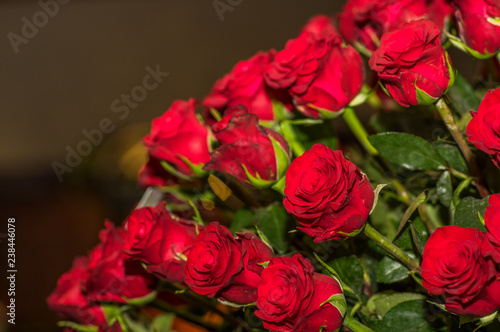 Close up of beautiful dozens of blossoming red roses