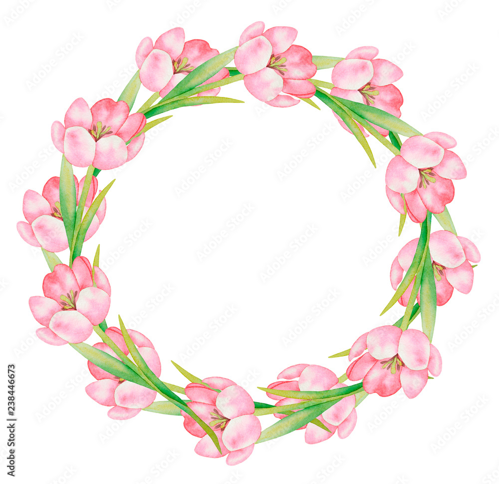 Illustration of watercolor hand drawn round frame with pink tulips isolated on white background. . Spring flowers. Botanical art, floral background. Greeting card, 8 March, Easter, Mother's day.