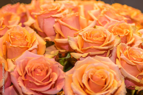 Close up of selective blosoming yellow rose bouquet