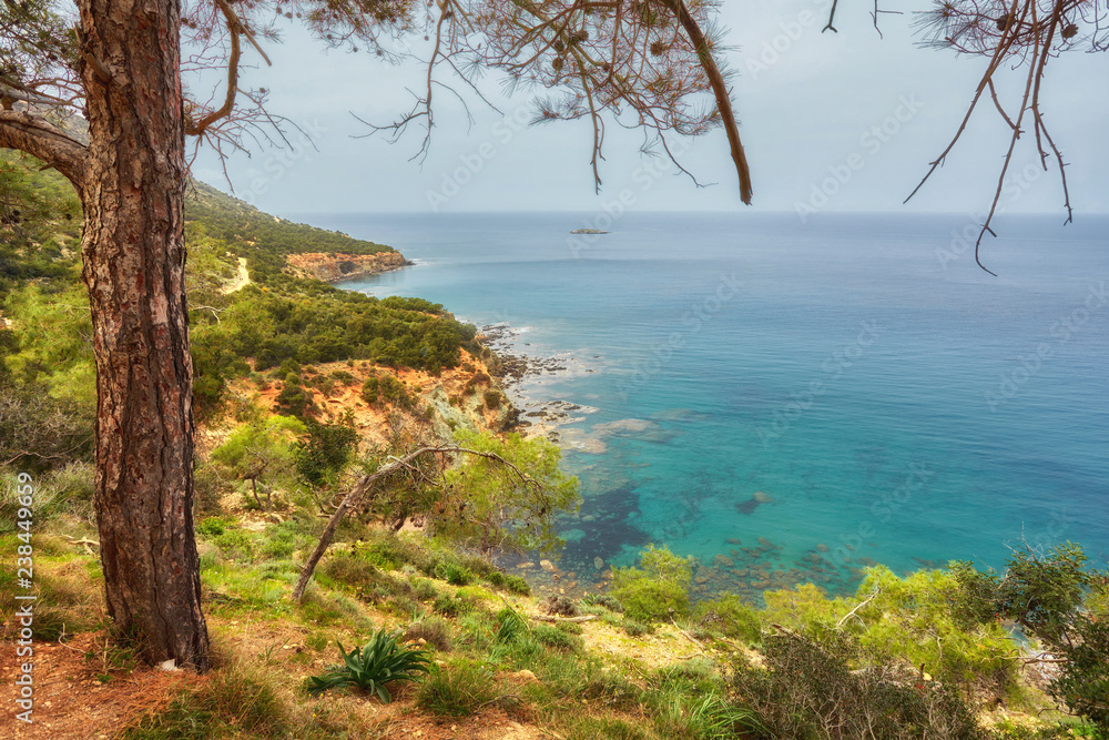 Beach near Aphrodite bath in Polis