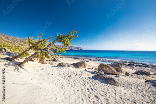 Kedrodasos beach near Elafonissi beach on Crete island with azure clear water, Greece, Europe