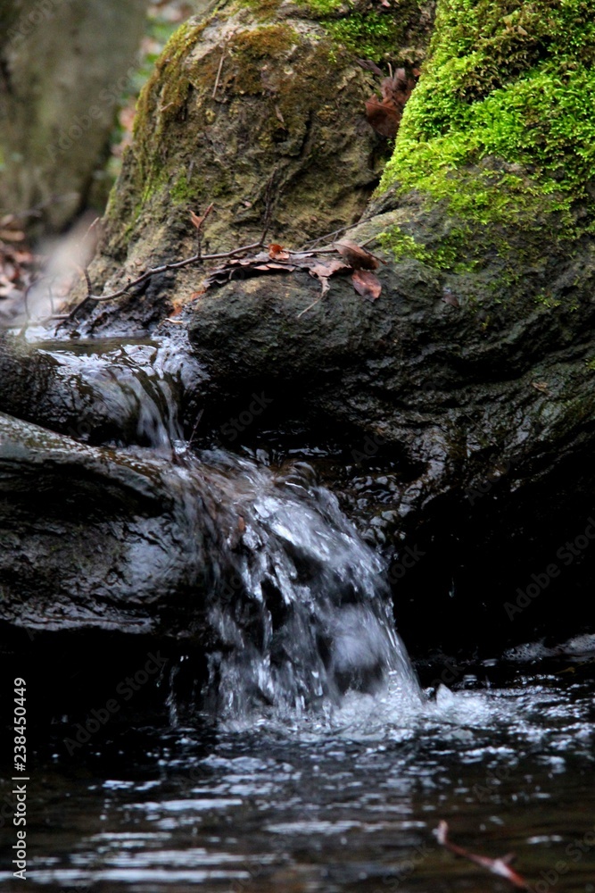 kleiner Wasserfall im Wald