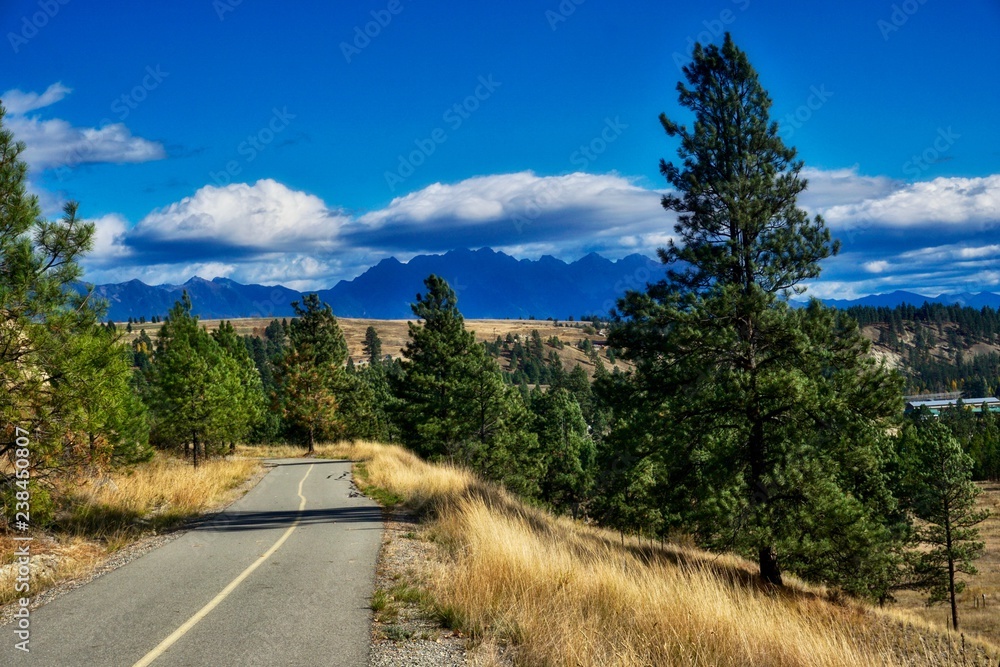 bike path in the mountains of Kimberly, British Columbia