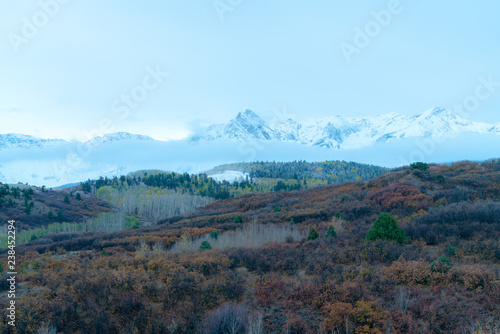 White snow capped peaks tower above dusted fall colored trees