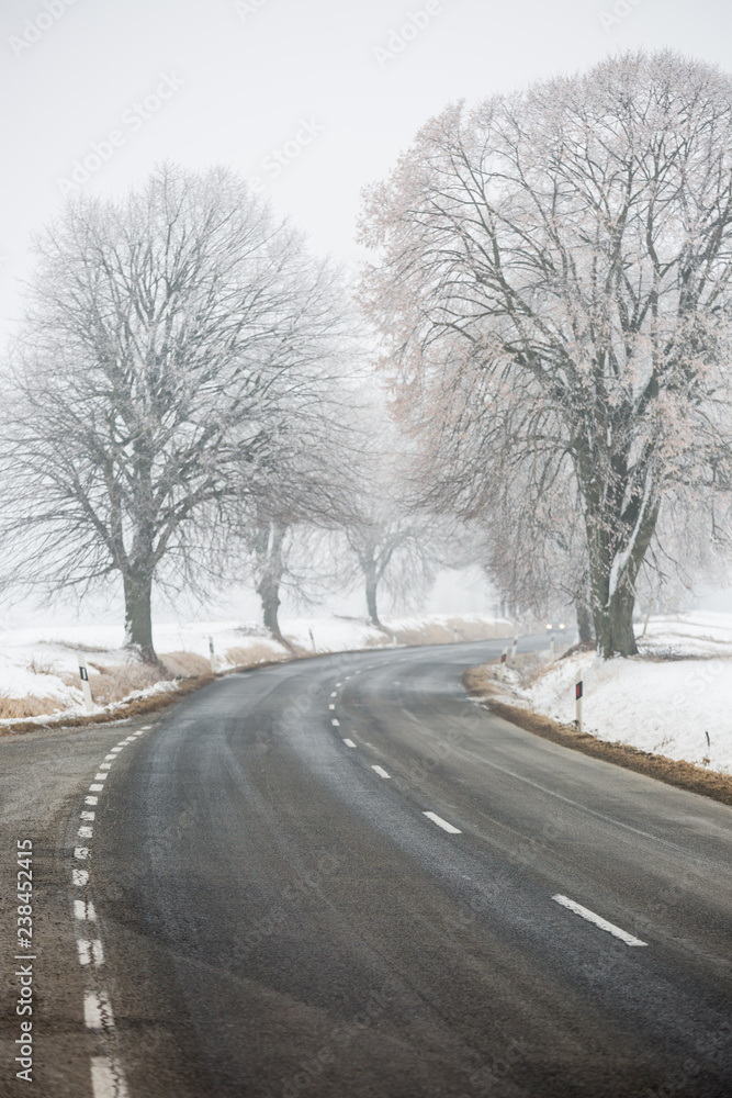 dangerous winter road