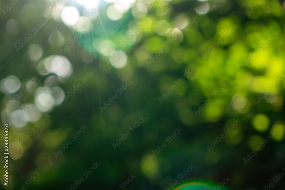 Green summer garden. Blurred natural background with bokeh effect on a sunny day.