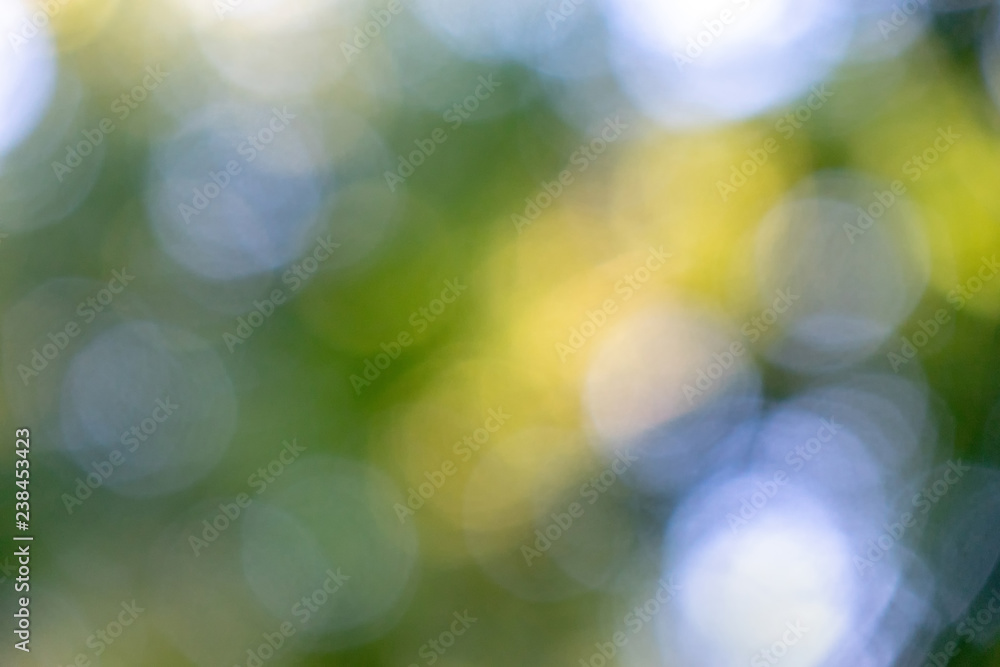 Bright blue green and yellow bokeh circles on a green natural background. Blurred foliage.