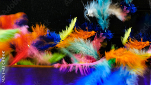 Multicolored feathers fly out of the box. Close-up