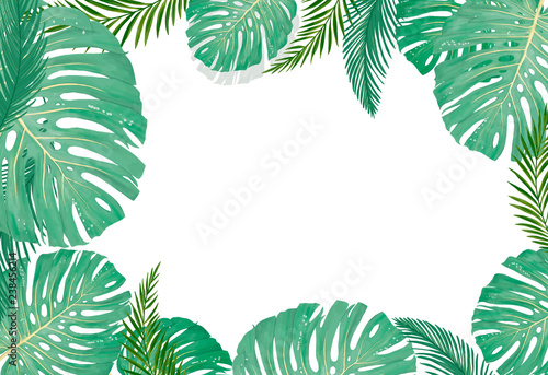 фотографія tropical botanical plants, background with leaves of coconut and banana design c