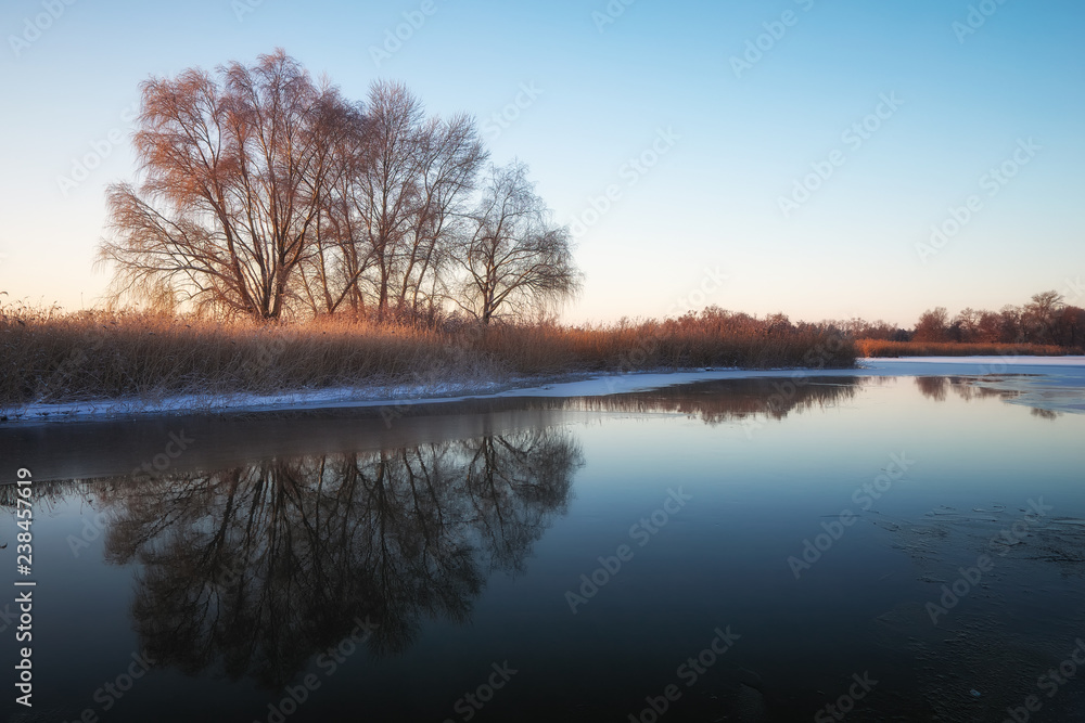 Winter landscape with river, reeds and trees. Composition of nature.