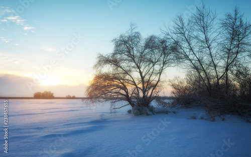 Beautiful winter landscape with frozen lake, trees and sunset sky © es0lex