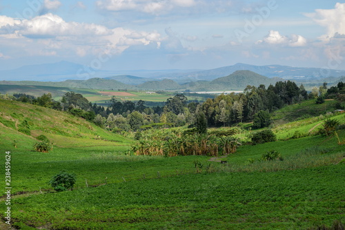 The volcanic landscapes of Naivasha, Rift Valley, Kenya