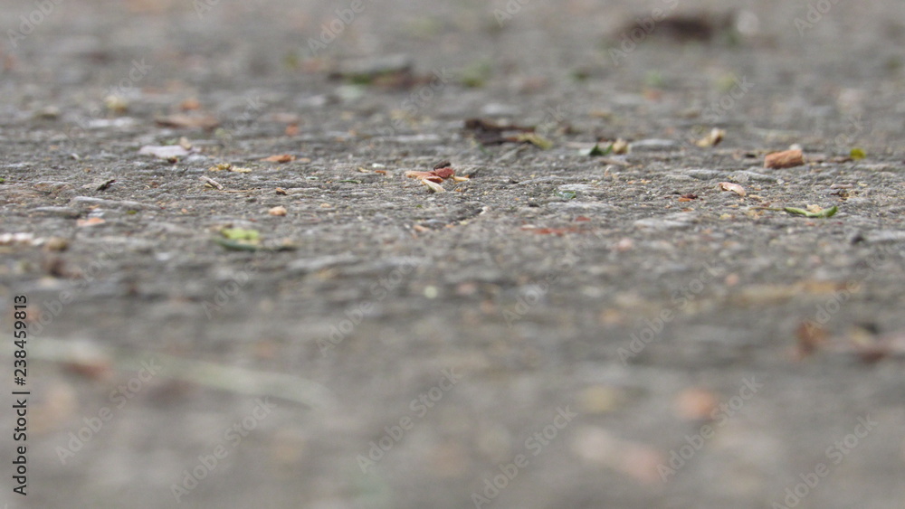 ground ground