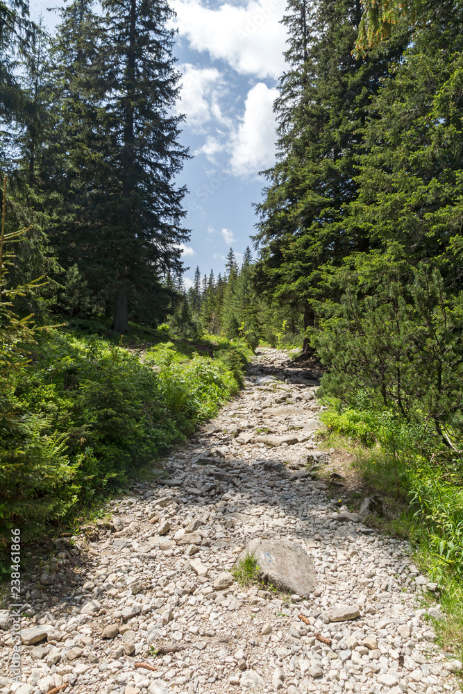 Landscape from hiking trail for Malyovitsa peak, Rila Mountain, Bulgaria Landscape from hiking trail for Malyovitsa peak, Rila Mountain, Bulgaria