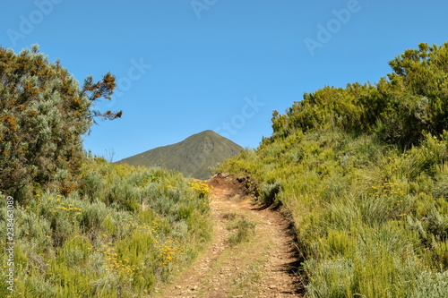 A dirt road in Mount Kenya  Kenya