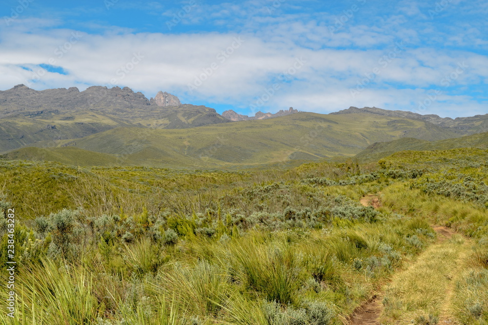 High altitude moorland against a mountain background and blue sky, Mount Kenya National Park, Kenya High altitude moorland against a mountain background and blue sky, Mount Kenya National Park, Kenya