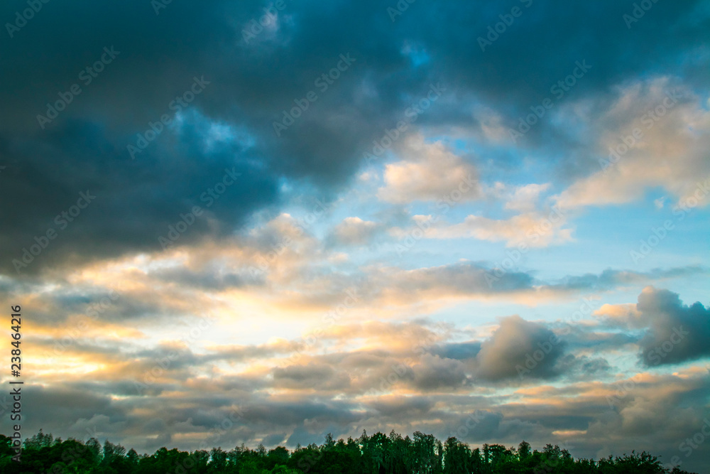 Fototapeta premium The Florida Sky