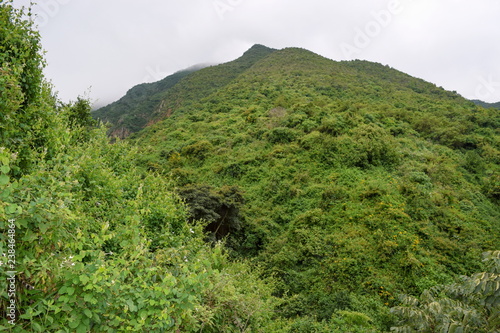 Mountain Range against a foggy background, Kijabe Hills, Rift Valley, Kenya photo