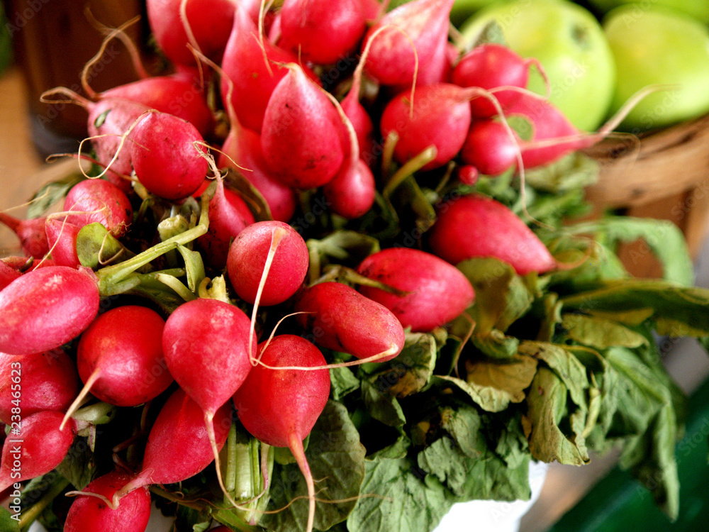Radishes in the Market