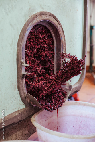 High angle view of crushed grapes in machinery at wine cellar