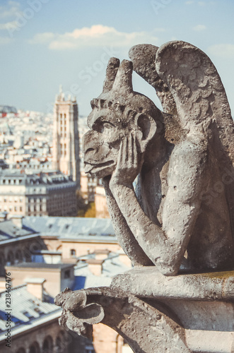 La Stryge chimäre notre-dame de paris photo