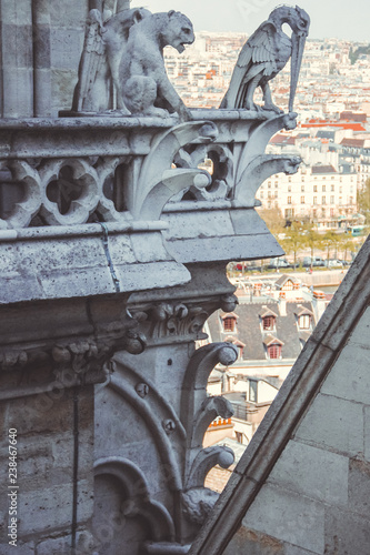 Blick auf Paris vom Dach der Notre Dame