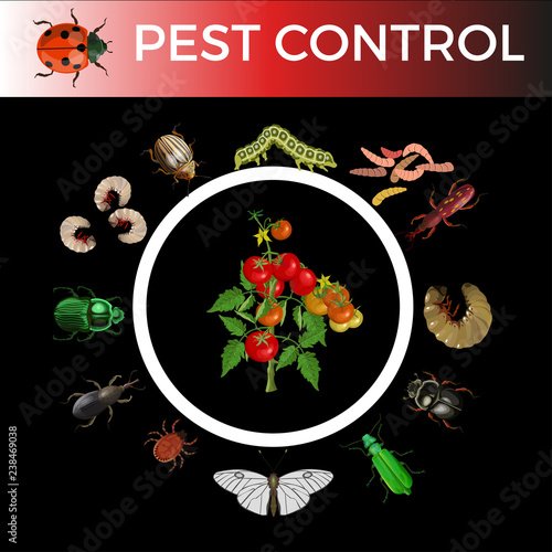 Pest control concept