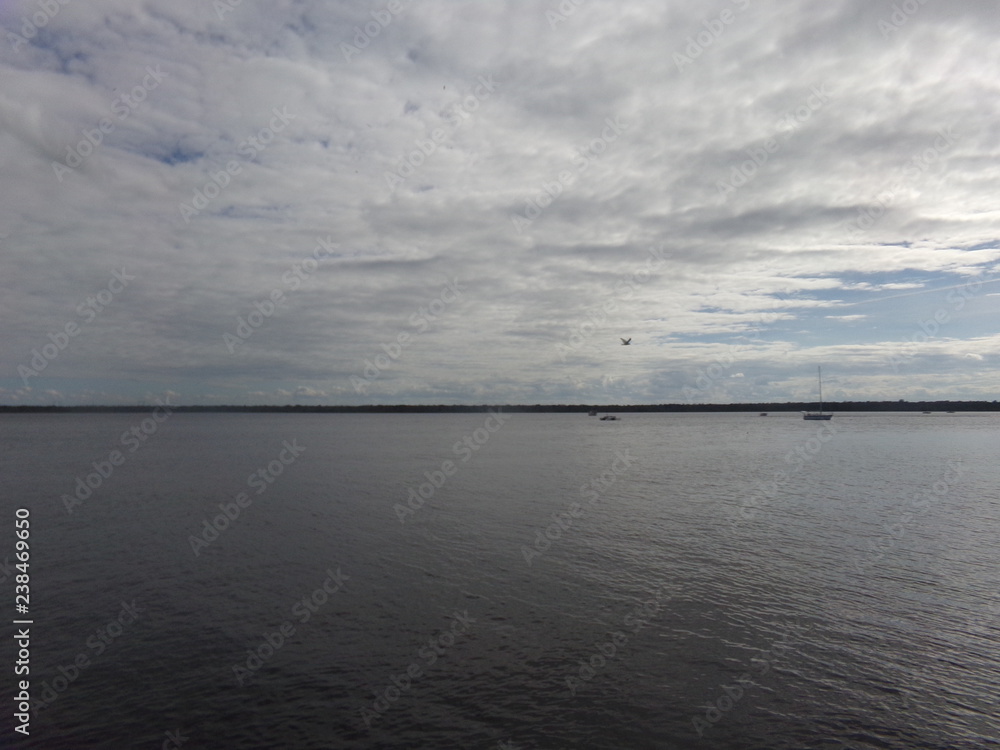 Open Water Open Water