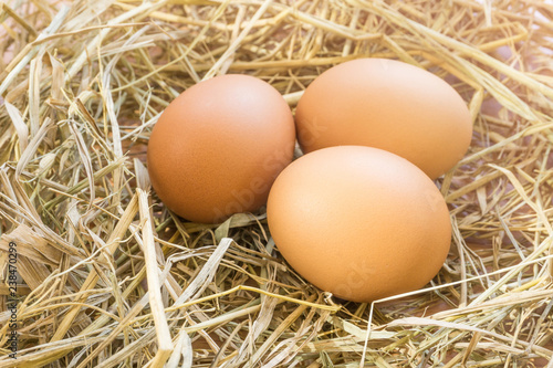 Close up chicken eggs on straw with wooden .Fresh eggs from farm for cooking with blurred background