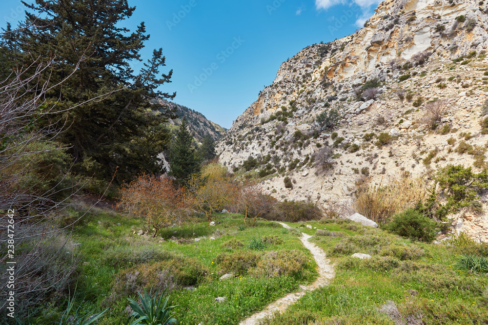 Amazing natural landscape in the Avakas canyon in Cyprus. National sunny wild park with cliffs, mountains, rocks and trees.