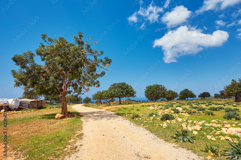 Fototapeta premium beautiful famous Avakas gorge in cyprus