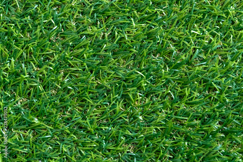 Green grass texture for background. Green lawn pattern and texture. top view.