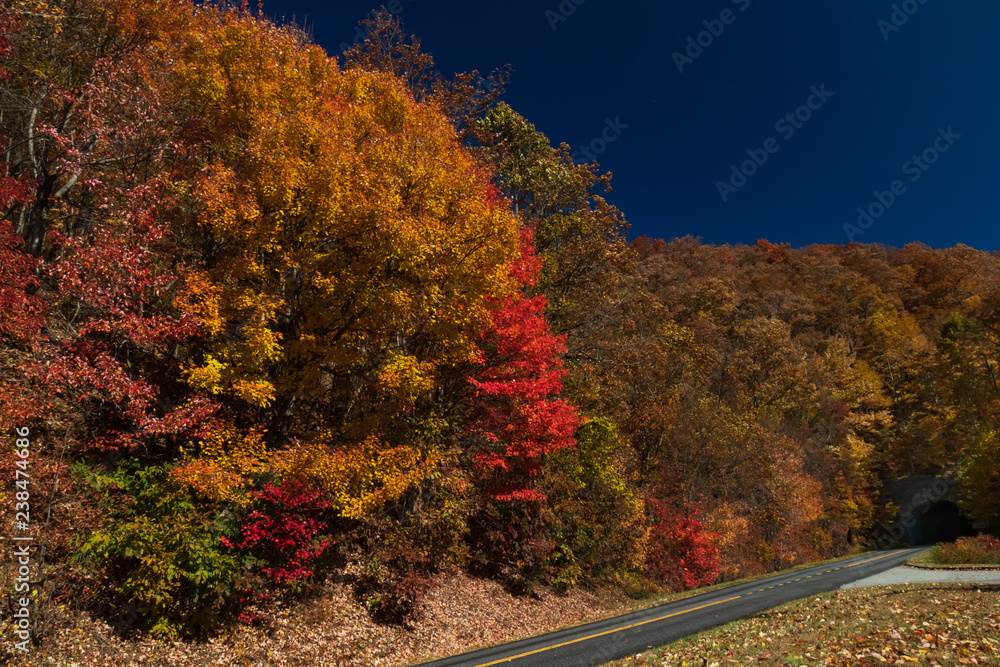 Two lane country road thru the forest in fall colors on the Blue Ridge Parkway, Tennessee