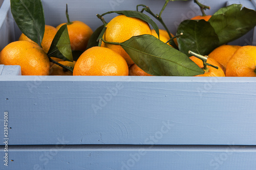 Fresh tangerines in box wit...